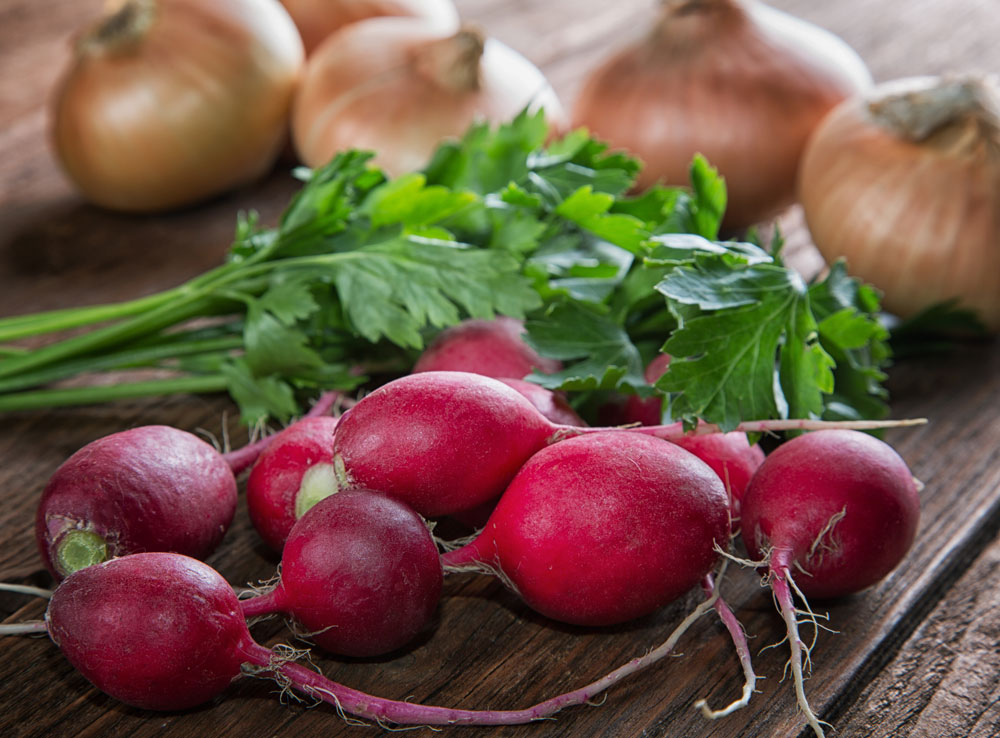 Spring Radish Salad - Fresh On The Menu Recipe