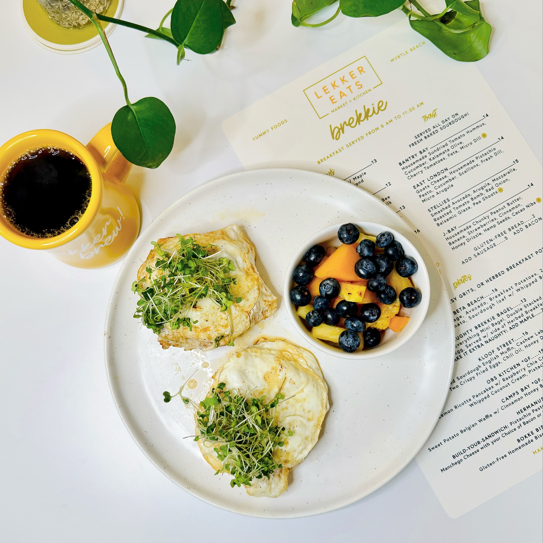 Lekker Eats - Fresh On The Menu